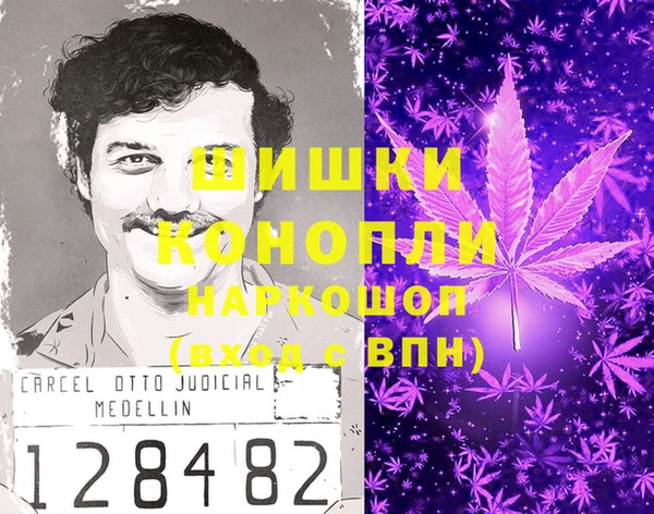 индика Волоколамск