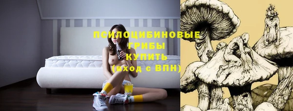 спиды Волосово