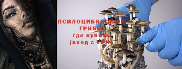 индика Волоколамск