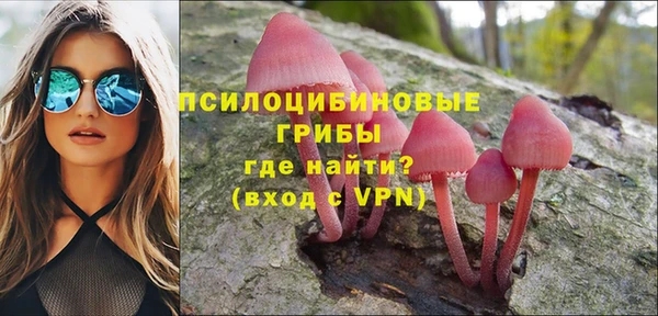 спиды Волосово