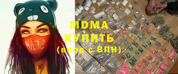 индика Волоколамск