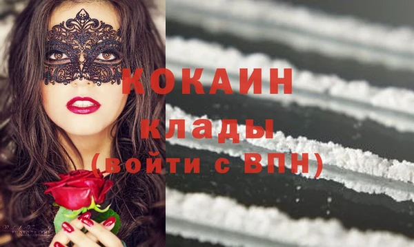 индика Волоколамск