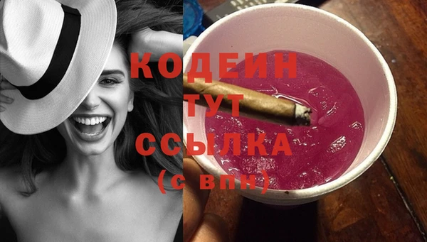 индика Волоколамск