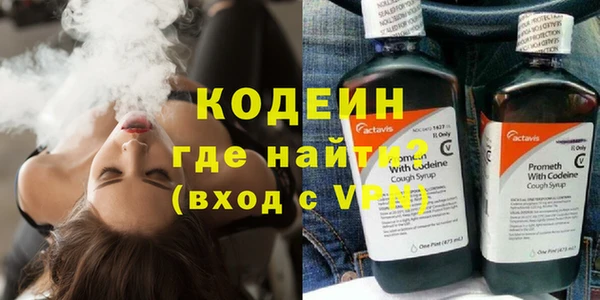 индика Волоколамск