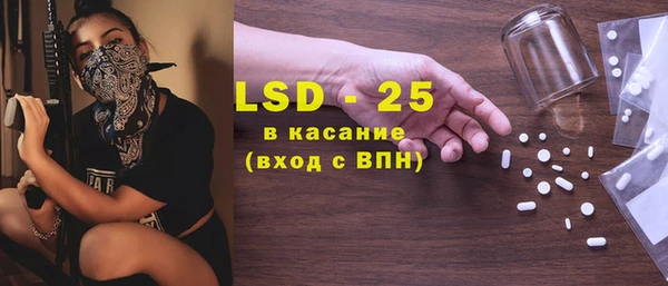 индика Бородино
