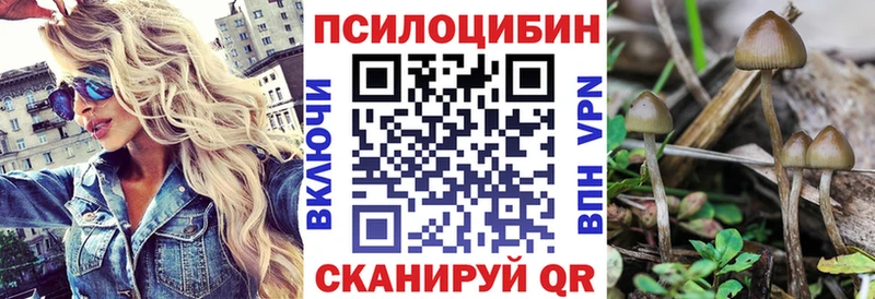 hydra ONION цены Ивдель Псилоцибиновые грибы MAGIC MUSHROOMS